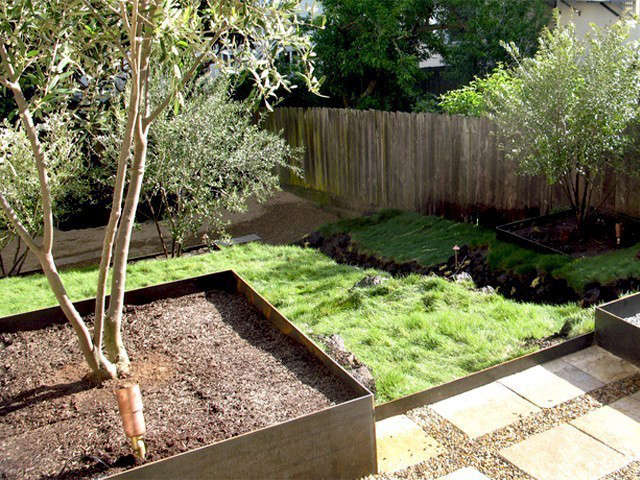  Metal Hillside: This garden mixes classic rock walls with sqaure metal planters. It is the simplest planting palette: Olive trees, no mow fescue and sedums. The view is framed in every vantage point by the olives: from 4 stories above, within the garden when on the patio or when playing below on the gravel area