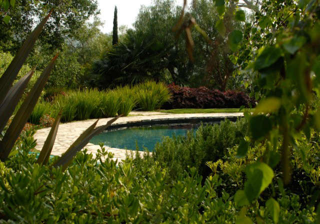  Studio City Estate &#8\2\1\1; Pool gardenThe landscape surrounding the swimming pool offers privacy, texture, and year-round color. A Mediterranean plant palette harmonizes naturally with local hillsides.