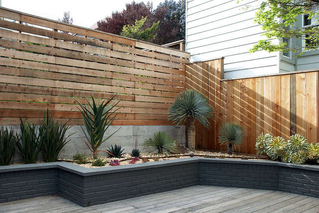  Succulent beds surround a deck &#8\2\1\1; Flora Grubb Gardens designer Patrick Lannan created a thrilling succulent garden in the refined confines of this urban back yard.
