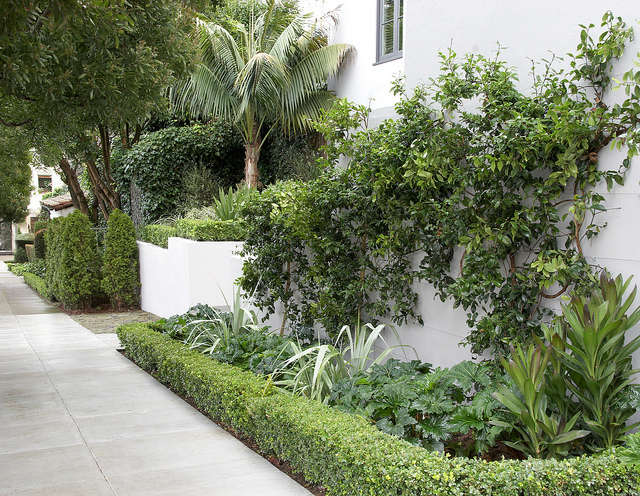 Neighborly elegance &#8\2\1\1; Flora Grubb Gardens staff designer Daniel Nolan combined traditional and novel elements in his design for this garden in Pacific Heights.