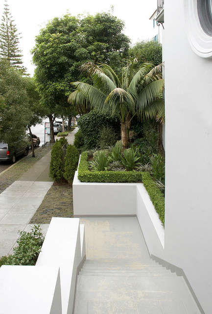  Pacific Heights entrance garden: Daniel Nolan placed a landmark pair of kentia palms amidst bold foliage at the entrance to this house in San Francisco&#8\2\17;s Pacific Heights. Photo: Caitlin Atkinson