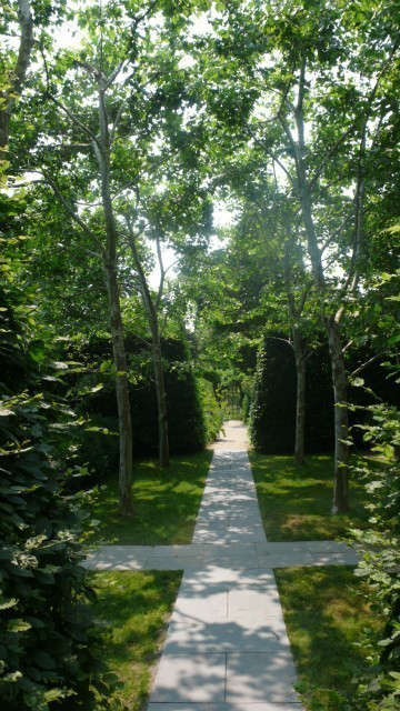  Long Island: Allée of Sycamores.: The paved path below the sycamores leads to the garden entrance. Photo: Deborah Nevins