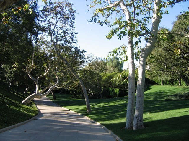  \10-acre Southern California Residence.: Plane Trees cast a dappled shade across the entry drive. Photo: Deborah Nevins