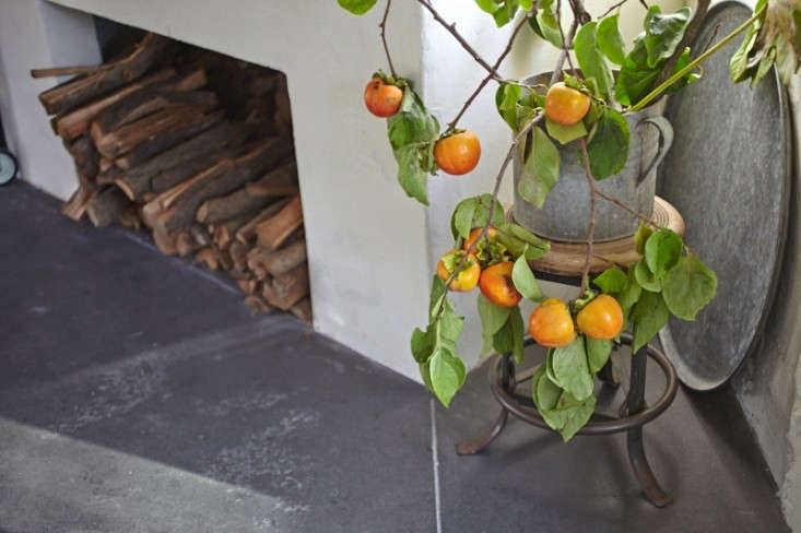 And a few branches of whatever&#8\2\17;s in season, set in a vase, make a dramatic arrangement (and a nice change from evergreens this time of year). Shown here is a collection of persimmons by Louesa Roebuck, as seen in \10 Tips: How to Create a Laid-Back Thanksgiving, Northern-California Edition. Photograph by Julia Spiess for Dinners with Friends.