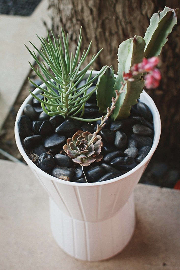ikea diy curb gardenista appeal hack mini plant ways gardening pot waste aussie trending zero succulents style hacks pots everythingetsy