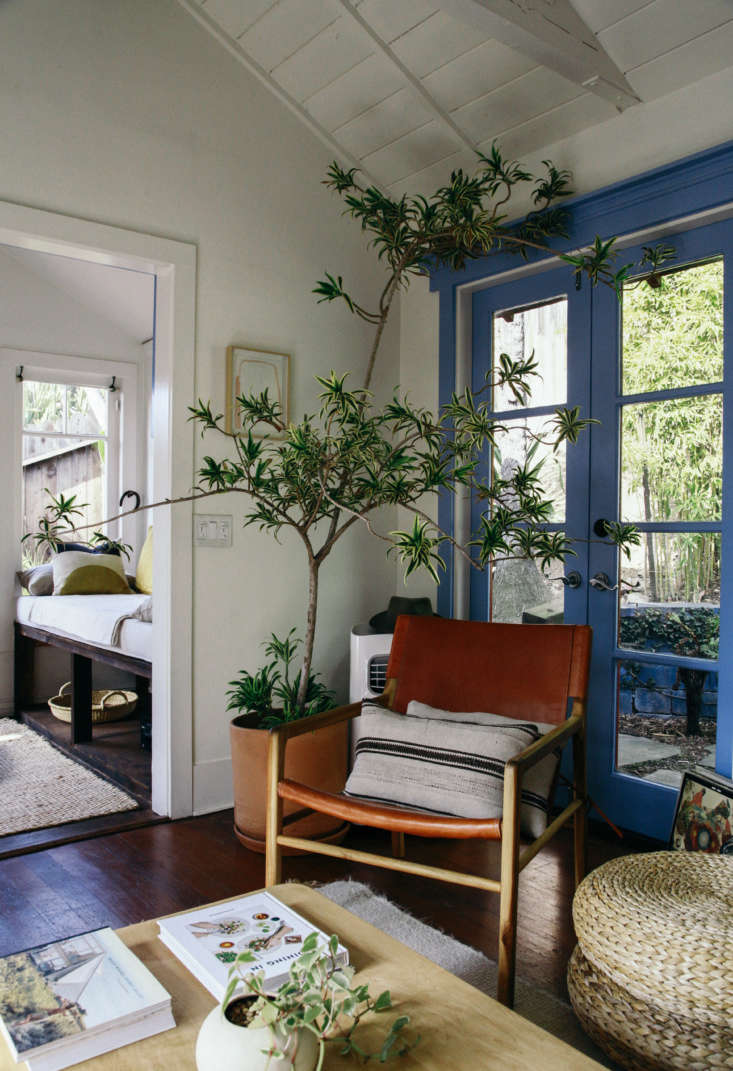 Every plant is unique, which makes them great for customizing a rental. Jodi and Alex placed plants of varying sizes and textures in ceramics pots throughout the house.