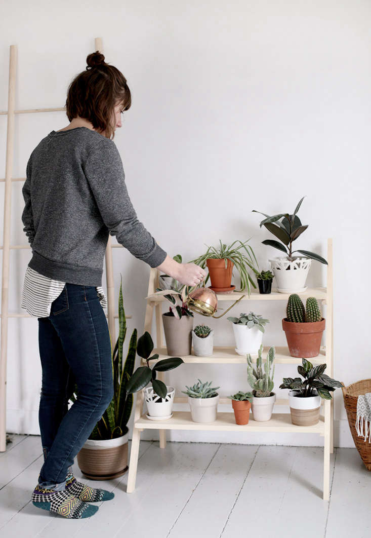 DIY Ladder Plant Stand via The Merry Thought blog.