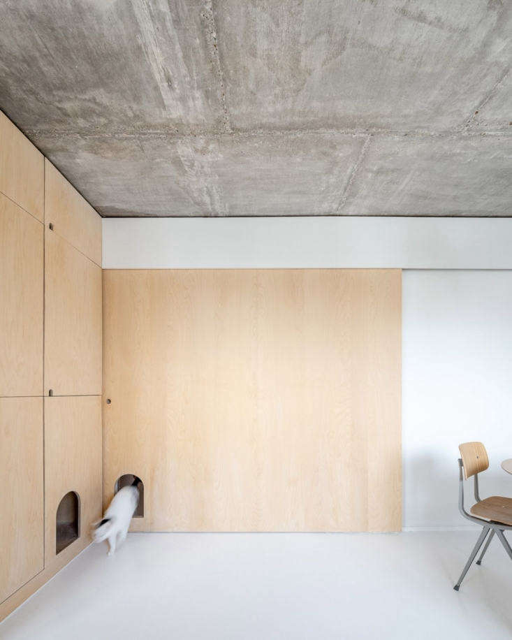 Sacha Apartment by Sabo Project in Paris, Cat Doors