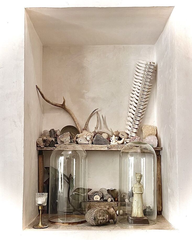 patricia larsen still life with corral, horns, and rocks, pozos, mexico 21