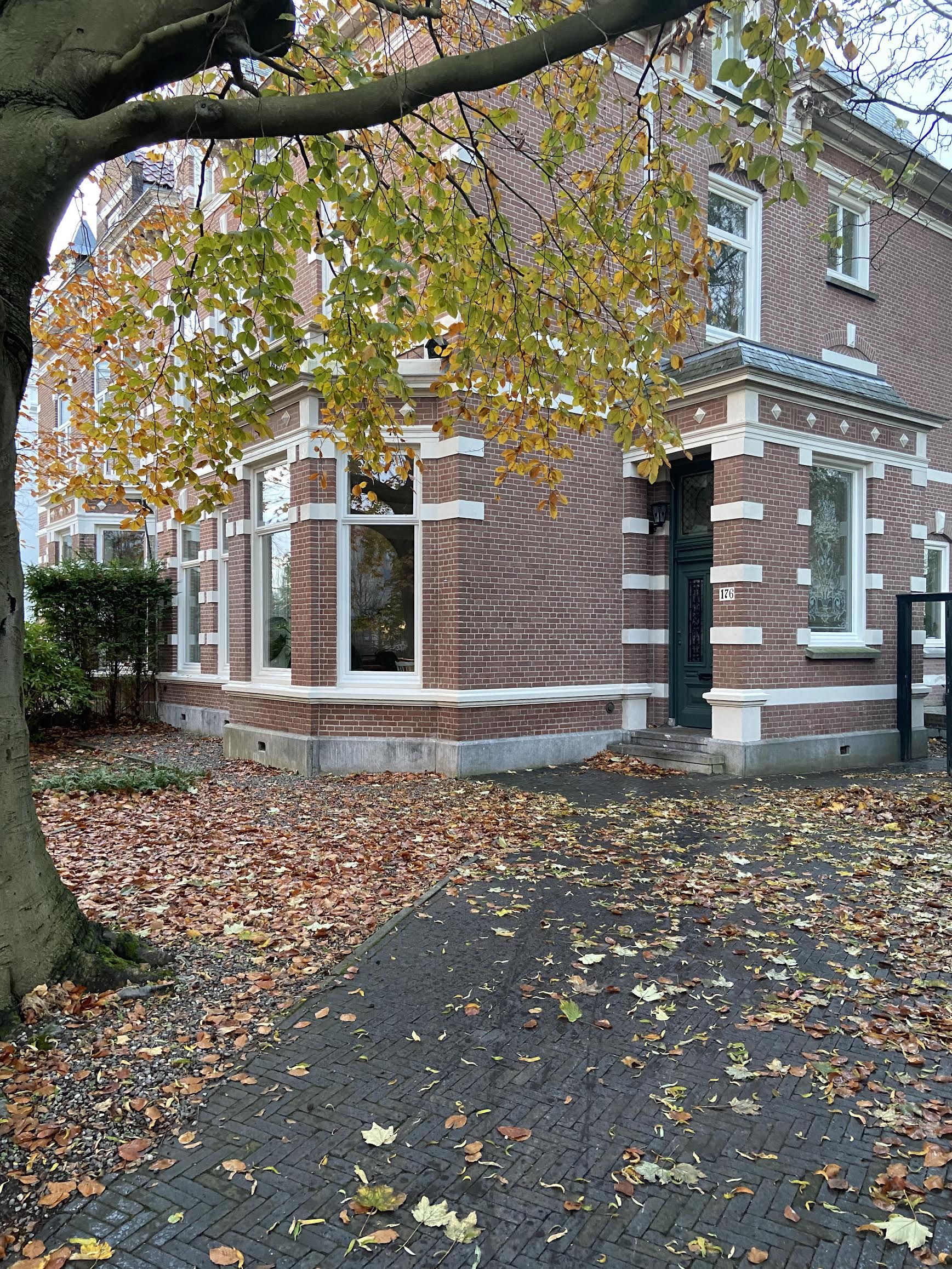 a monumental beech tree, shown here in autumn, screens the house from the stree 10