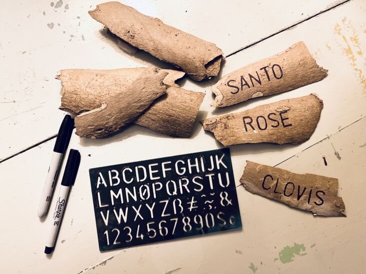 priscilla woolworth diy sycamore bark placeholders in progress. 4