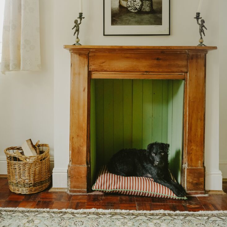 colours of arley bespoke pet cushion 23