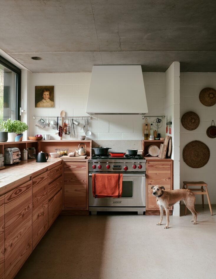In the kitchen, a row of potted herbs. Joni, a Bedlington whippet, stands in front of the cabinets, which Russell and his father hand-built from Danish flooring company Dinesen\2\17;s Douglas fir.
