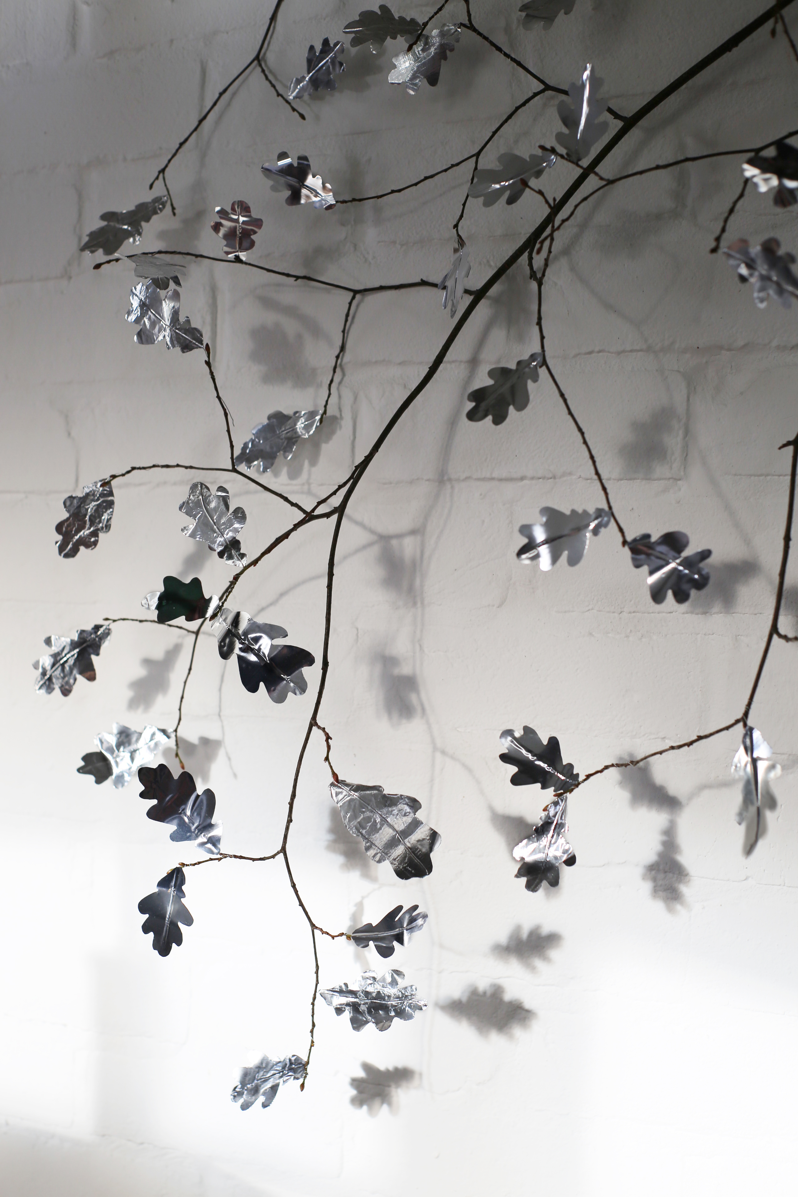 Oak leaves work especially well—their shapes are lovely, instantly recognizable, and easy to trace.