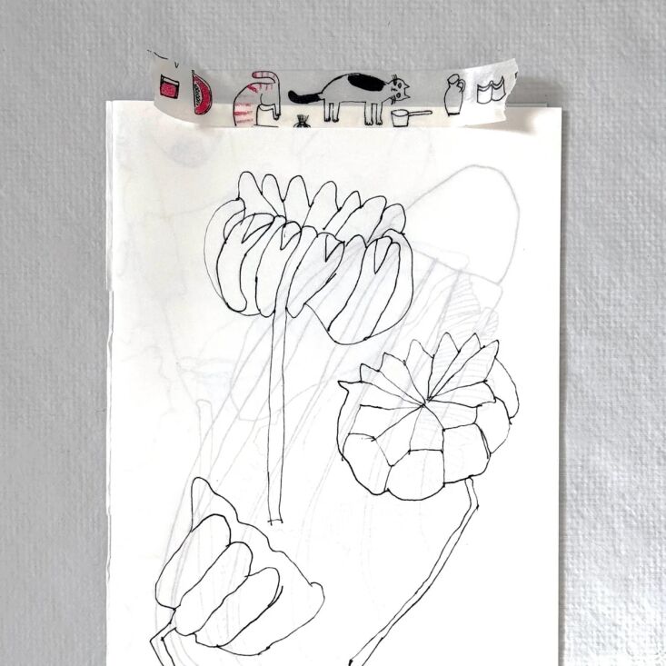 Cinta para gatos de WMS & co 4