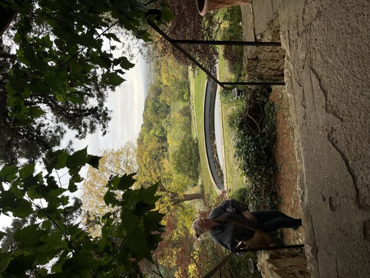 Kendra Wilson Landscape