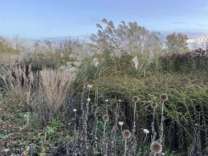 pensthorpe gardens, photo by kendra wilson 126