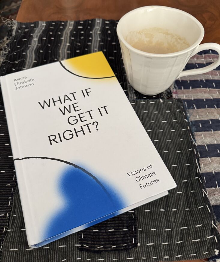 What If We Get It Right Melissa Ozawa