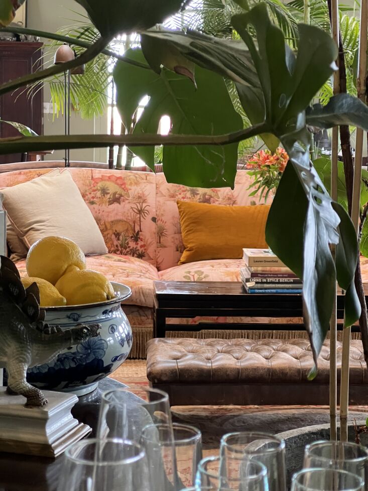 dorp hotel in cape town, photograph by janet hall 11