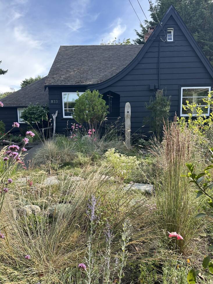 Réplica de Fi Campbell Victoria Gardens 2 publicaciones