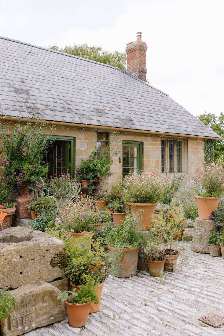 Grupos de plantas en macetas suavizan los patios del jardín Visita: Ashton Manor, 17