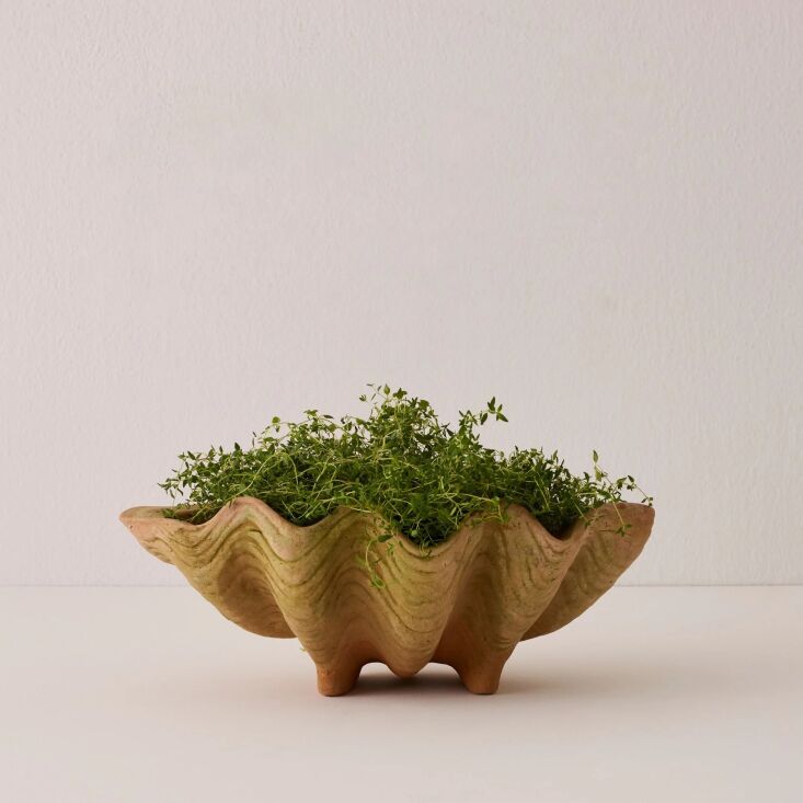 for a moveable garden, pots and planters can\2\17;t be beat: move them a 21