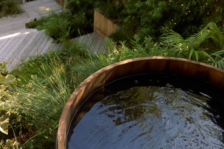 how to make the most of a small precipitous backyard in san francisco? with tie 18
