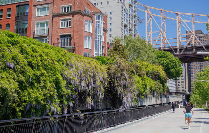 no backyard? cities are bursting with blooms, too. might we suggest a walking t 19