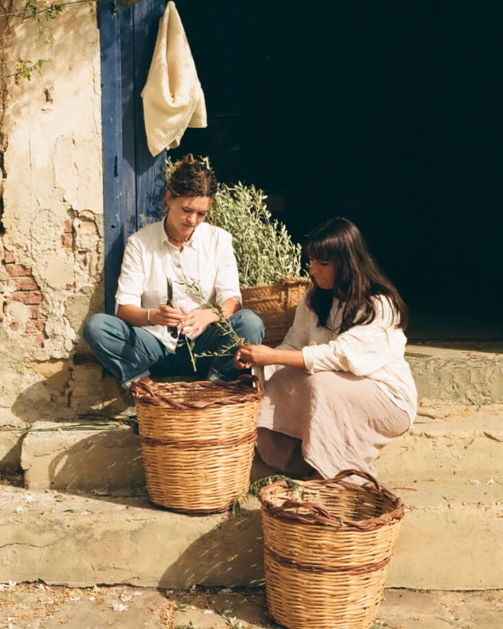 anna tasca lanza in sicily, italy, 17