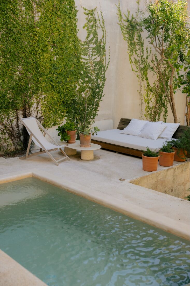 a new plunge pool takes the place of a patch of weeds. colin built it with some 18