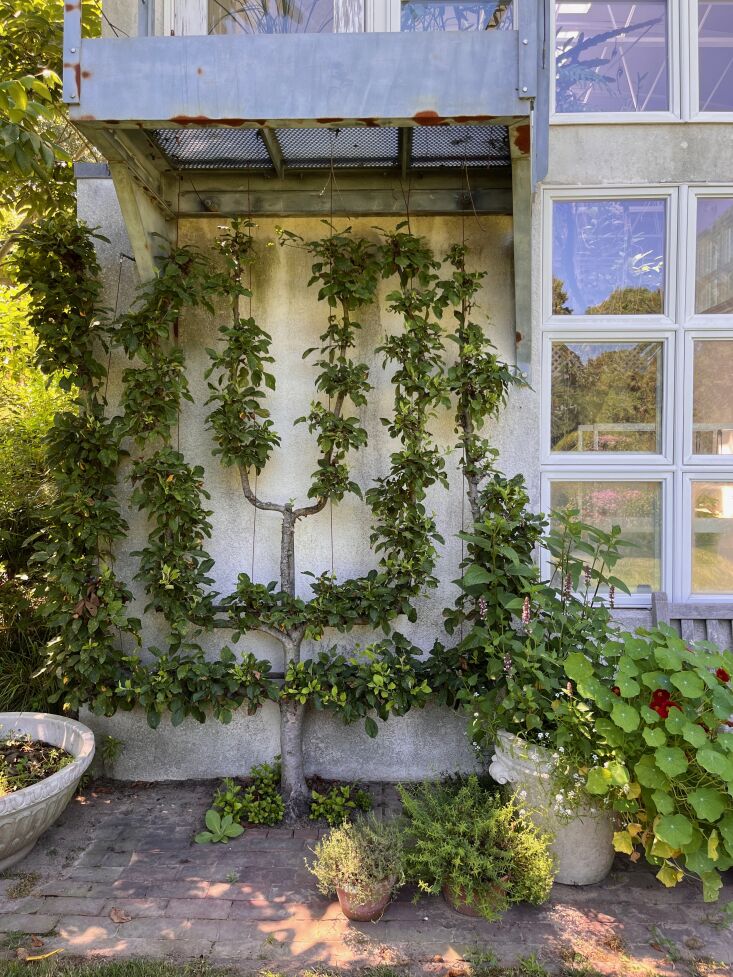 bridge gardens bridgehampton photo laura fenton 1