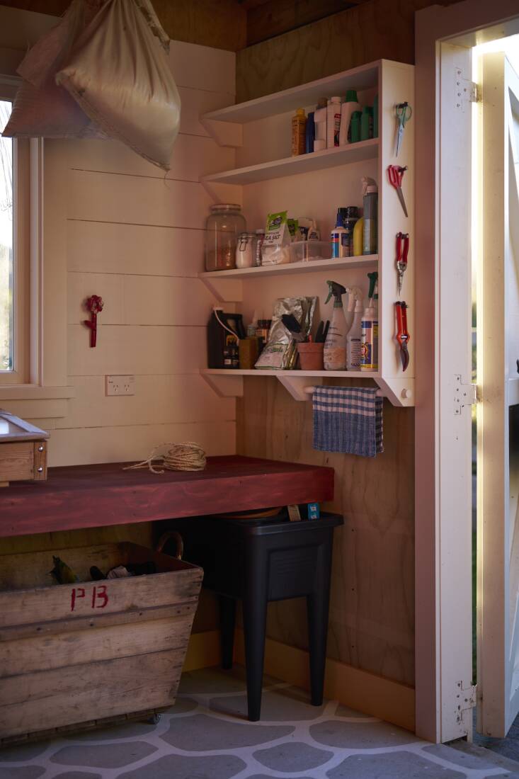 leanne culy red shed 6