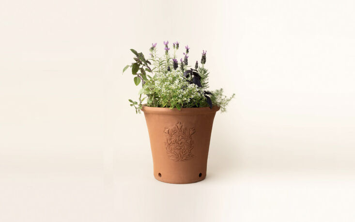 For keeping summer going on the windowsill: pretty limited-edition terracotta pots. Shop now.