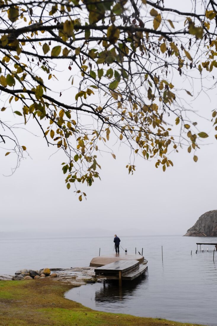 welcome to the north sea\2\17;s gullmarsfjorden. elisabeth says they bui 32