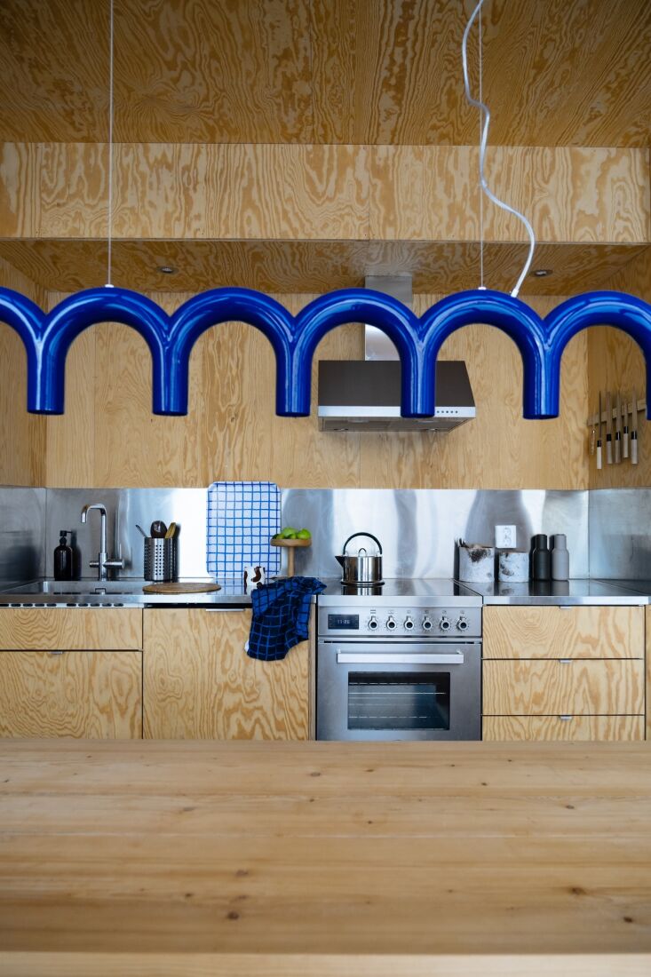 the kitchen cabinet interiors are from ikea finished with custom plywood fronts 19