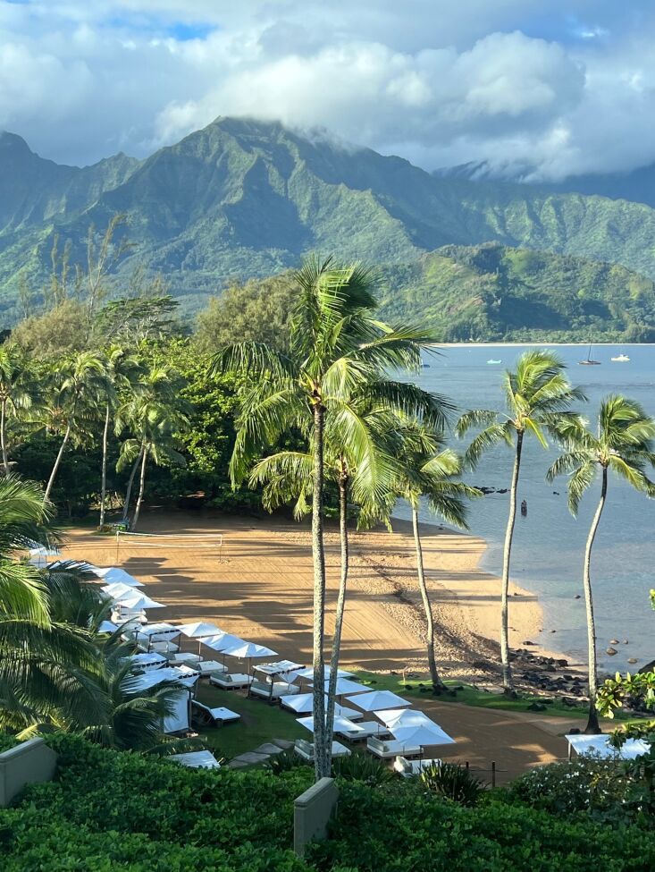 \2\20;we were in kauai a couple weeks before hurricane lowell devastated 33