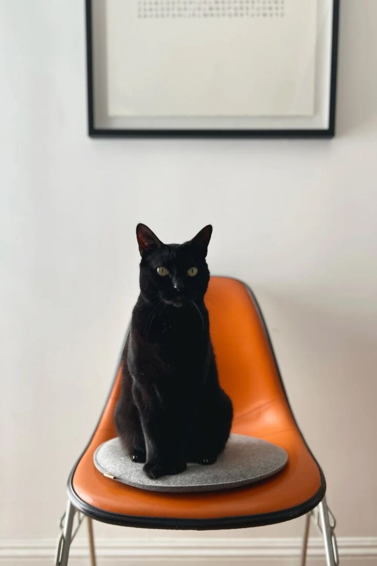 the office chair becomes a little more comfy—and homey—with a cushion to si 18