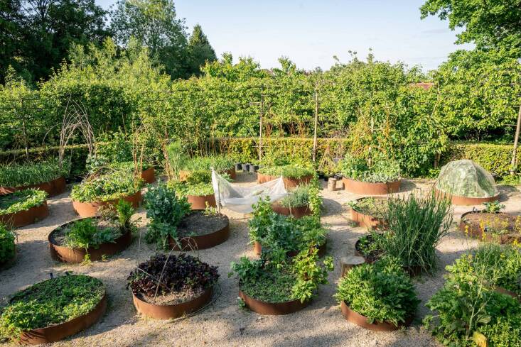 a new take on raised beds: circular rings, as seen in omved in north london: a 18