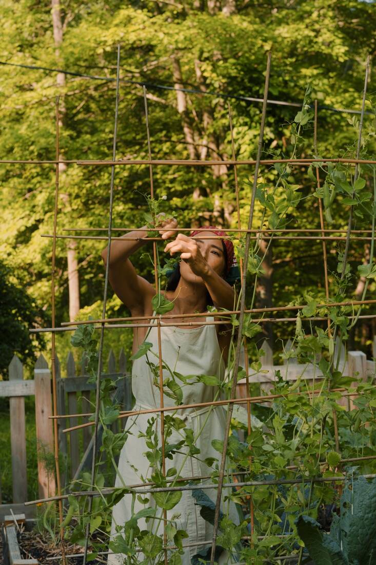 among the vegetables grown in their vegetable garden are peas, kale, and cabbag 28