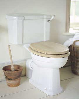 Bath: Stylish Toilet Brush - Remodelista