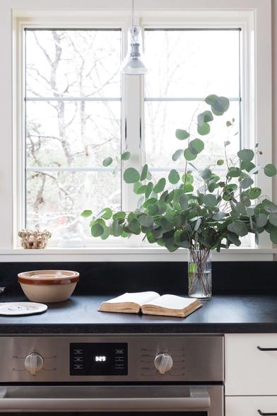 15 Favorites: Japanese Countertop Appliances (Available in the US) -  Remodelista