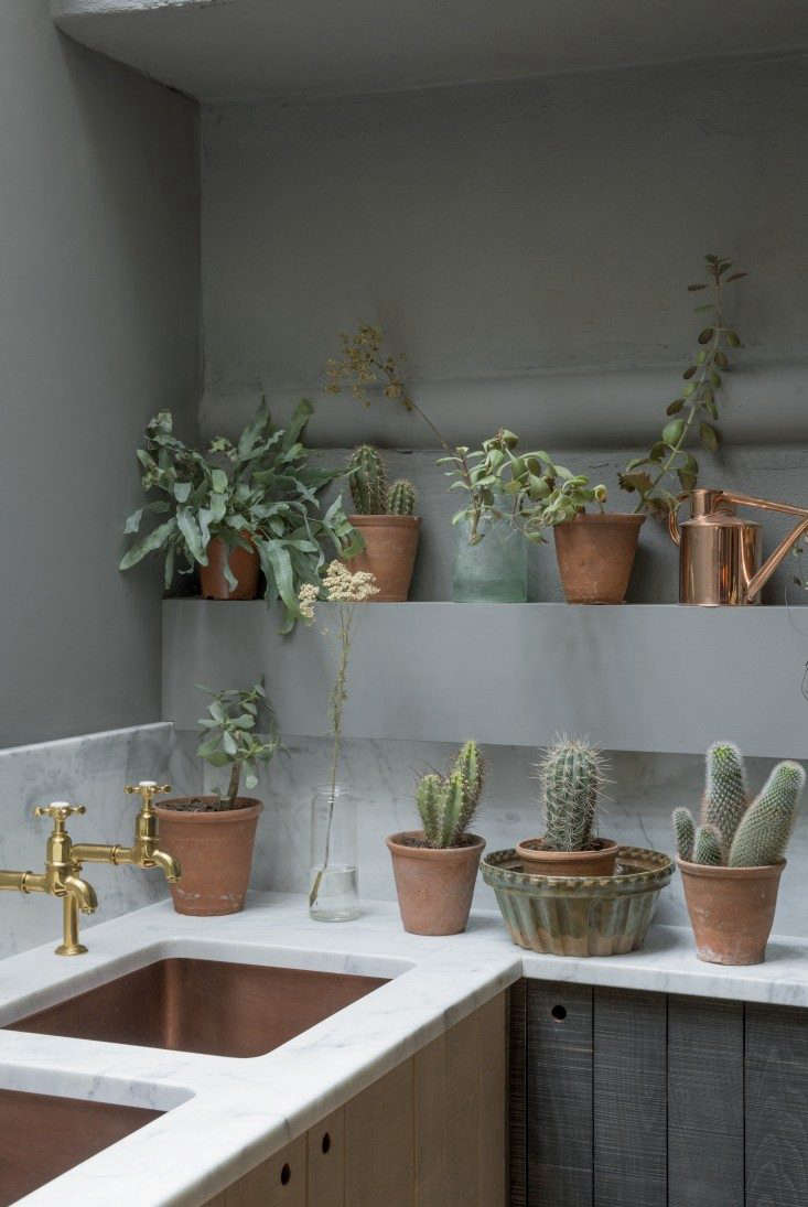 two shelves of houseplants—mostly succulents—in a kitchen designe 19