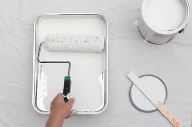 9 Inch Paint Roller & Paint Tray
