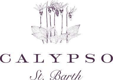 5 Favorites Home Collection from Calypso St Barth portrait 11 9