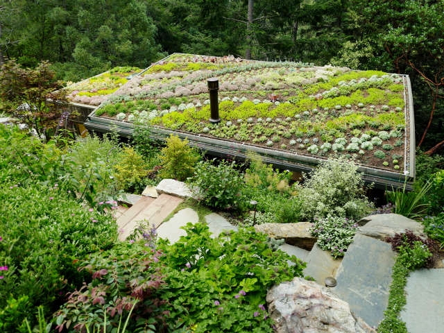 green roof, mill valley cabins, mill valley, california photo: joe fletcher 24