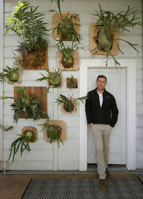 staghorn fern garden: designer daniel nolan seen with his home vertical garden  21