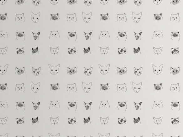 baines & fricker cats paper 8