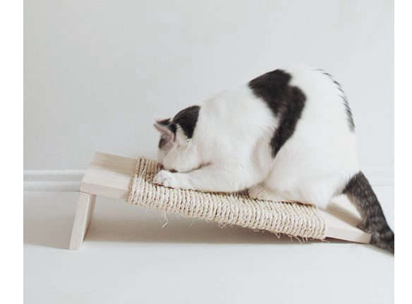 Remodelista Gift Guide 2022 For the Pampered Pet and the Discriminating Pet Parent portrait 10