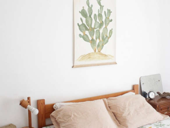 cactus – opuntia jamaicensis 8