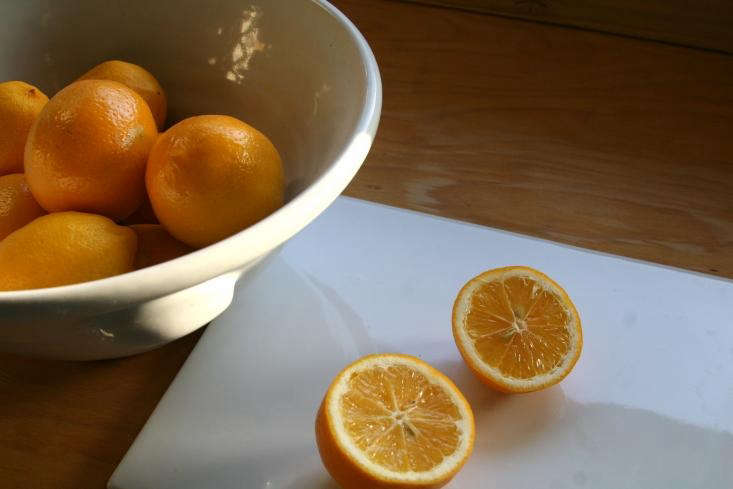 the acid in lemon makes it an ideal cleaning agent. photograph by sarah lonsdal 20
